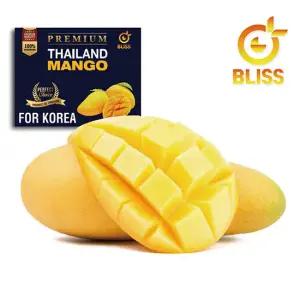 블리스 태국 생망고 3kg 6과~11과 프리미엄 망고 항공직송