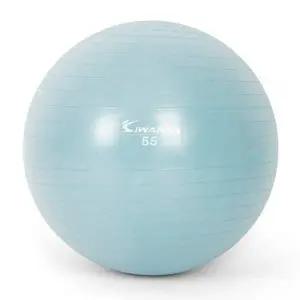 짐볼 짐볼 55cm (더스티 블루) 마사지볼 마사지짐볼