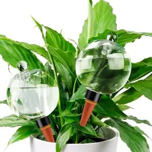 소일라과 19온스 초대형 식물 셀프 워터링 글로브 탑 필 플라스틱 물 전구 느린 릴리스 테라코타 화분