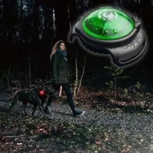 반려견야간산책 강아지 세이프 안전등 그린 애견 야간 산책 플래시 1P