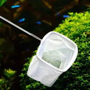 안테나 새우 구피 어항뜰채 열대어뜰채