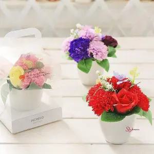 비누꽃 어버이날 화분 카네이션hij060