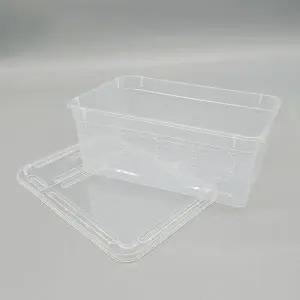 [셀러에이드]TBZ 파충류 도마뱀 사육장 곤충 거북이 달팽이 밀웜 집 C4