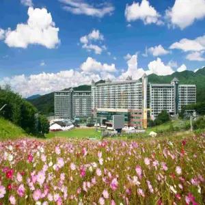 웰리힐리파크 리조트