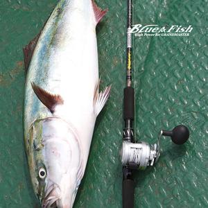 BNF 빅이어BIGEAR 티타늄팁 지깅 낚시대 부시리 대구 문어 우럭 빅게임 티탄팁