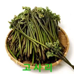 국내산 생고사리4kg 무공해 고사리 웰빙푸드