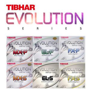 탁구러버 티바 에볼루션 시리즈 MX-P/MX-S/EL-P/EL-S