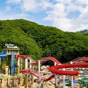 [강원] 소노벨 비발디파크 D(강원호텔/홍천호텔/홍천소노벨 비발디파크 D)