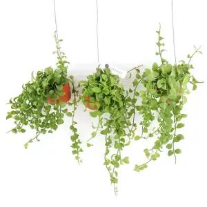 미니화분 디시디아(그린)