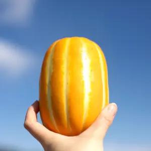 성주 명품참외 정품 고당도 아삭한 꿀참외 3kg 5kg