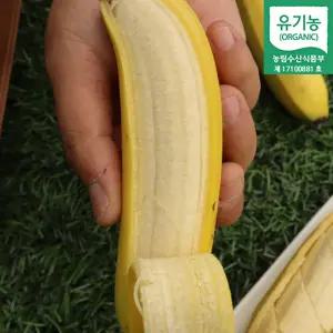 경남 산청 달콤 쫀득한 유기농 바나나 1.5kg 2.5kg 친환경 무농약 국산 바나나 산지발송