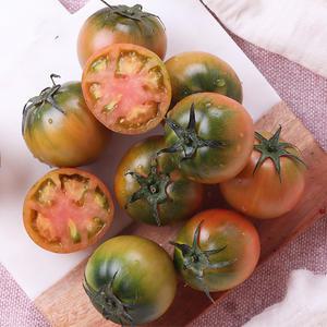 부산 정품 로얄과 맛보기 대저 짭짤이 토마토 2.5kg