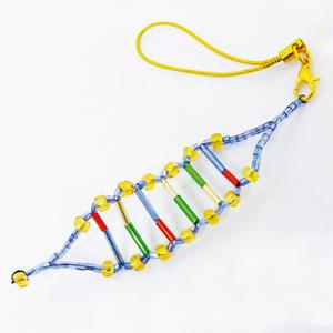 [더원사이언스] 비즈DNA핸드폰고리만들기 (10인용 세트)/과학교구