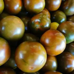 단단하고 아삭한 흑토마토 블랙토마토 쿠마토 2kg 4kg