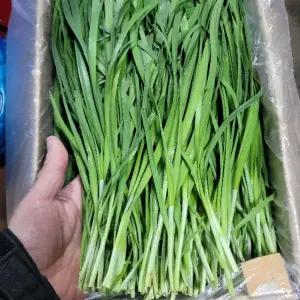 부추 2kg 야채맘