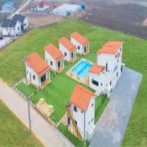 [충남] 더스테이골드독 (충남, 태안)