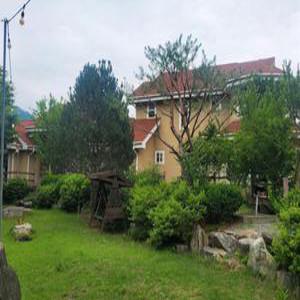 [강원] 홍천 브룸앤듀(강원, 홍천)