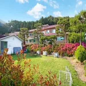 [전남] 실로암펜션(전남, 장성)