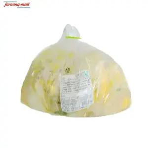 [보금푸드] 종가 우리땅 백김치 5kg