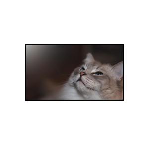 LG전자 올레드 evo AI OLED48C5KNA 스탠드형 무료배송 세븐