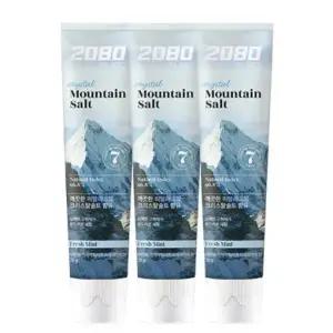 2080 히말라야 마운틴 퓨어 프레쉬민트 치약 120g X 12개