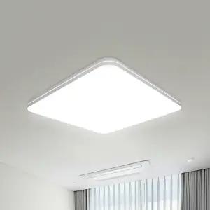 빛나라조명 LED 슬림 시스템 방등 60W 화이트L DC타입 주광색(6500K) / 거실 안방 조명 형광등