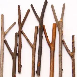 Y자 모형 줄기 나무가지 조각 대용량 500g 스틱 신학기재료 유치원재료 나무재료 나무꾸미기 나무작품