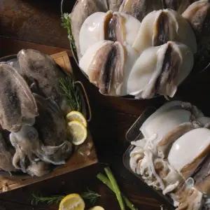 [우리참바다] 국내산 갑오징어 240g(2~3미)×9팩