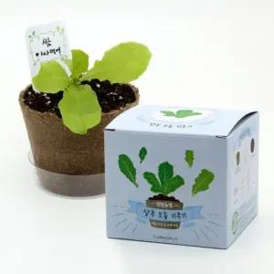 뚝딱 틔움 팜팜농장 상추 모종키우기/식물/키우기/씨앗/꽃/키트/화분/싹틔우기/나만의/정원/이름/꾸미기