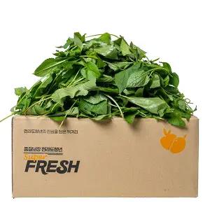 제철 봄나물 국내산 취나물 500g