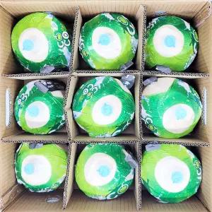 베트남 코코넛 9과 (9kg 내외)