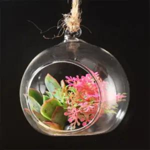 지니아이 아크릴 투명볼 5P 투명수납통