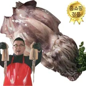 최성만 장인 청해대왕 통 오징어 12마리_(약 1.2kg~1.4kg)