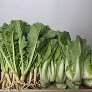 국내산 얼갈이+열무 김치용세트 8kg