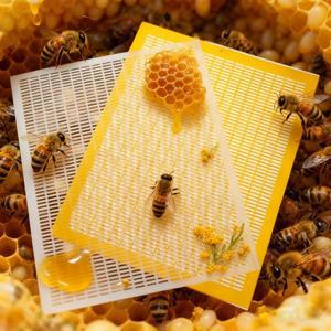 1개 플라스틱 메쉬 양봉 여왕벌 차단 프레임 방지망 탈출 분리 트랩 그리드 네트 도구