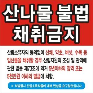 무변색 현수막 산나물채취금지 출입금지 변색없는현수막 24호