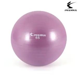 짐볼 65cm (라일락)