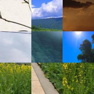 배터리 및 컨트롤러 보관 케이스 눈꽃무늬 천 방진 용기 DJI호환 Mini 3Pro 드론용 하드 EVA 방수