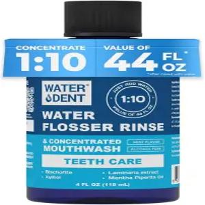 물 치실 헹굼 관개제 농축 구강 청결제 1 10 44 fl.oz 여행 크기 세정제 민트 향 알코올 및 불소 프리에