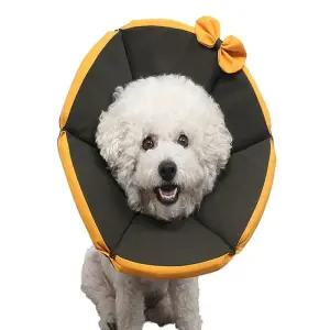 [소프트 대형견] 강아지 넥카라 대형견용 쿠션 목보호대 겸용 가벼운