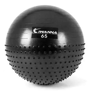 짐볼 마사지볼 멀티짐볼 마사지짐볼 65cm 아이워너 (블랙)