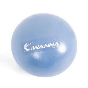 아이워너 짐볼 25cm (라벤더) 마사지짐볼 미니짐볼 마사지볼