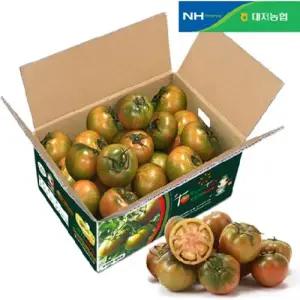 2026 대저 농협 대저토마토(S-2S) 3.5kg*1박스/ 총 3.5kg