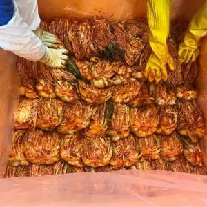 황금배추로 만들어 1년이상 숙성시킨 국내산 전라도식 황금묵은지 3kg x 2개