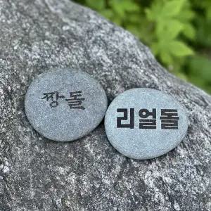 [갓샵]반려돌 애완돌 짱돌 리얼 쓸모없는 돌 펫스톤 키우기