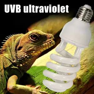 발열전구 온열 열등 파충류 열 전구 램프 빛 양서류 UVB 가정용 번식 치킨 난방