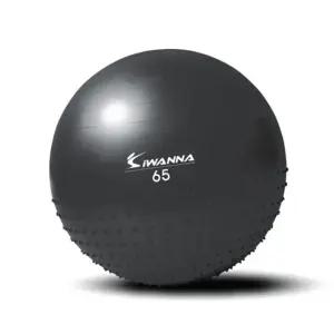 헬스용품 필라테스 짐볼 아이워너 멀티  [mW522868]