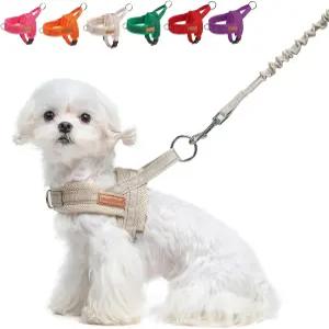 작은 개를 위한 뷰티주 하네스 당기지 않는 및 목줄 세트 손잡이가 있는 부드러운 탈출 방지 강아지 조끼