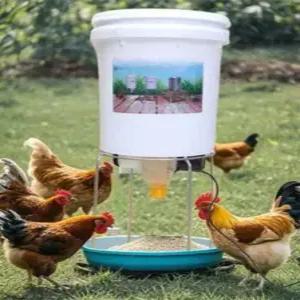 자동 닭 모이 디스펜서 호스트 급여기 피더 양계장