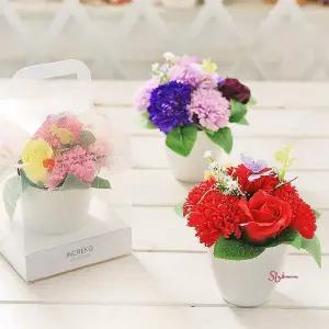 비누꽃 카네이션 화분 어버이날jkl552